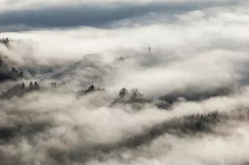Photographie d'une forêt en montagne avec une brume sur les hauteurs